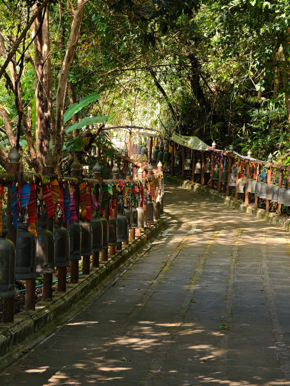 the 119 bells along the forest path