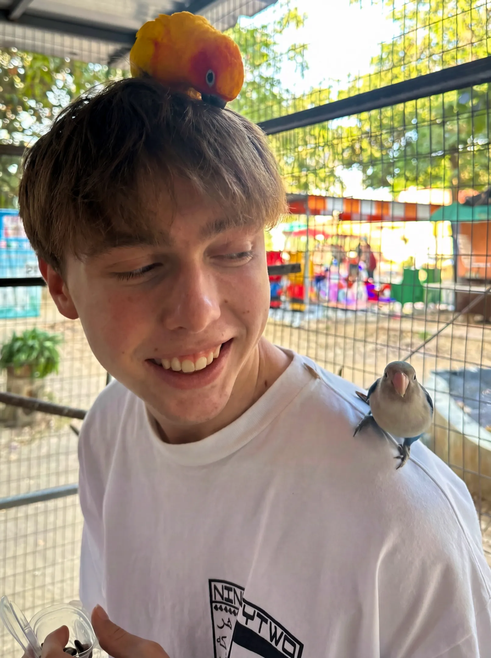 some cute little birdies sitting on my lap