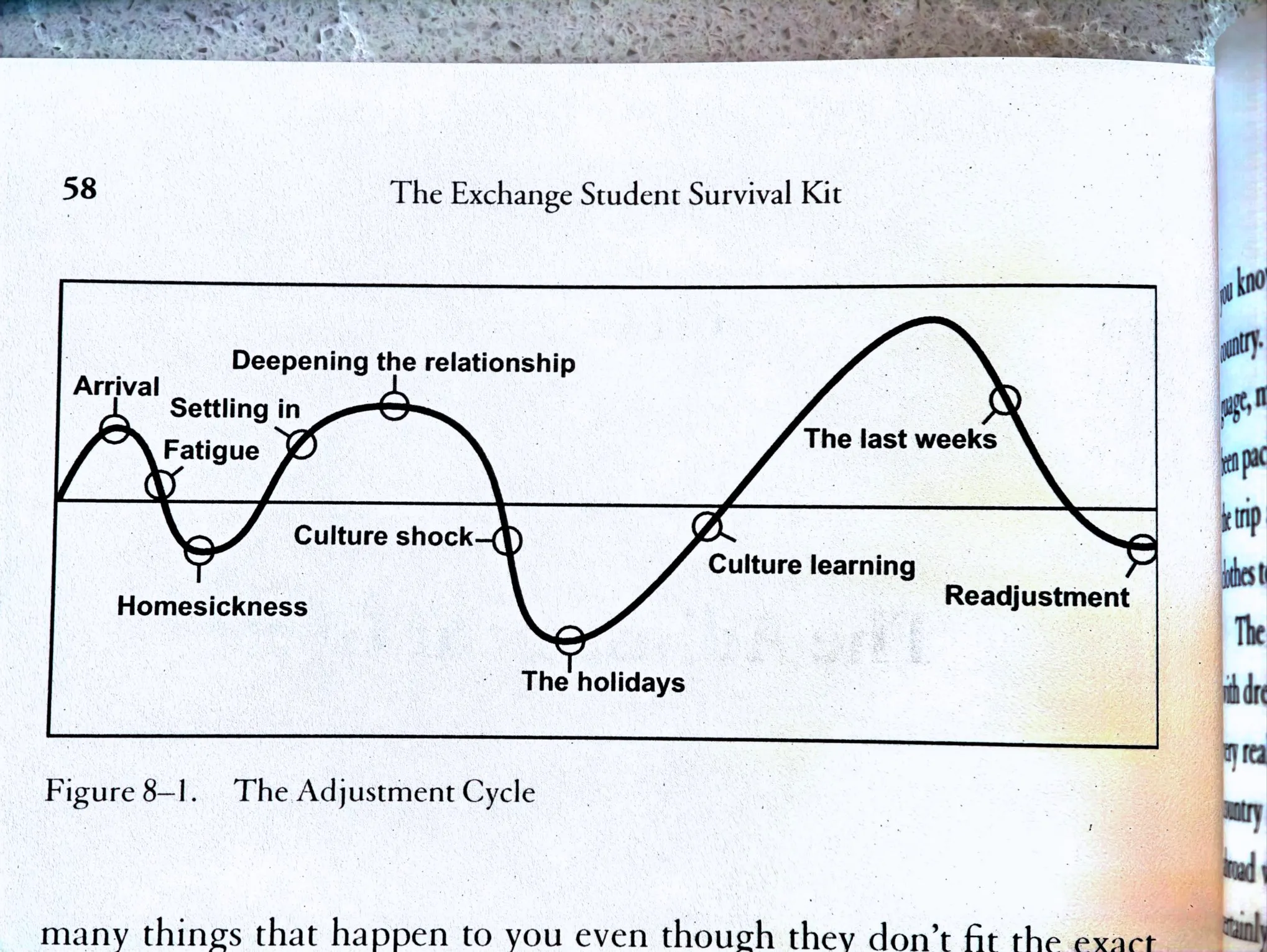 The Adjustment Cycle chart showing the emotional journey of exchange students