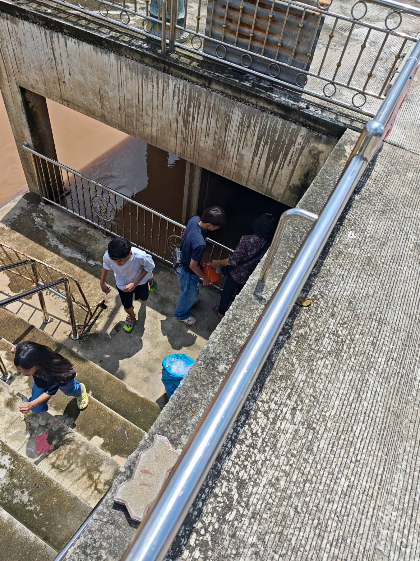 releasing the baby turtle after grandma's funeral