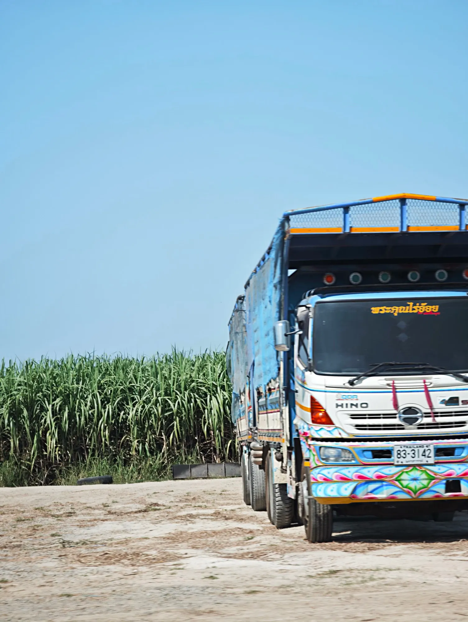 one of the many trucks used to haul away the sugarcane leaves after harvesting. these get sold as fuel for biomass electricity.
